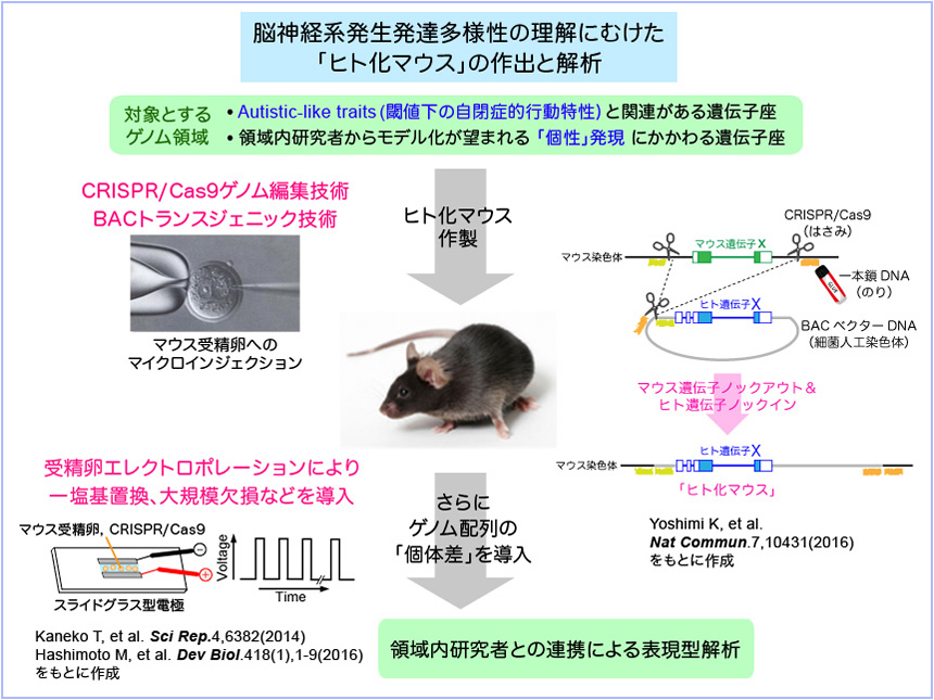 研究説明イメージ画像